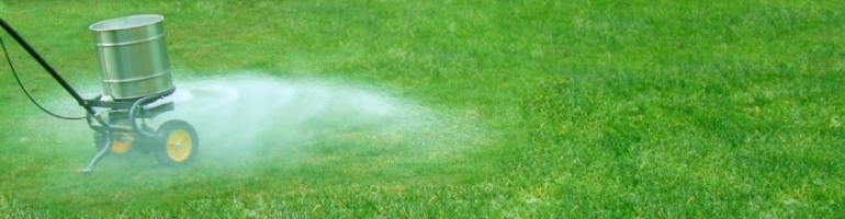 The Best Time to Fertilize Your Residential Lawn For Healthy Turf