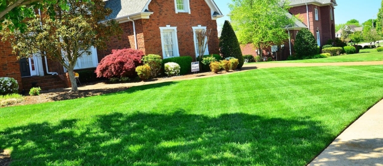 Organic Lawn Care for Residential Properties