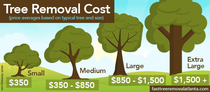 How Much Does Tree Removal Typically Cost?